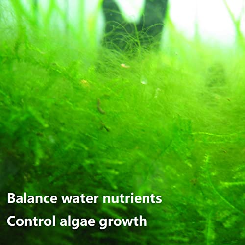 Image of IOAOI PuriResin Aquarium Filter Media, Organic Filtration Resin, for Freshwater and Saltwater Fish Tank, Removes Driftwood Tannins, 100 ml
