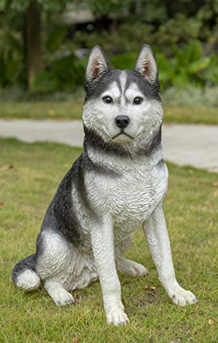 What type of dog looks like a wolf