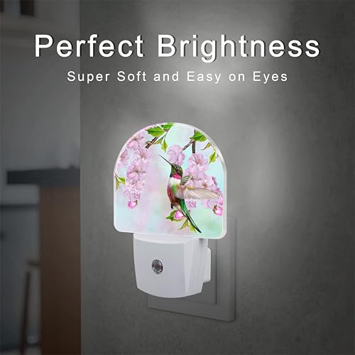 Image of Hummingbird and Cherry Blossoms Night Light for Kids,Birds and Pink Flowers Plug in Night Light with Dusk to Dawn Sensor, 0.5w Energy Saving Nightlight for Hallway Stairway Kitchen Bedroom