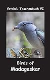 Birds of Madagaskar (fotolulu Taschenbuch) - fotolulu 
