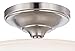 Minka Lavery 4172-84 Harbour Point Semi-Flush, 2-Light, 120 Total Watts, 13.5-in H x 10.75-in W, Brushed Nickel