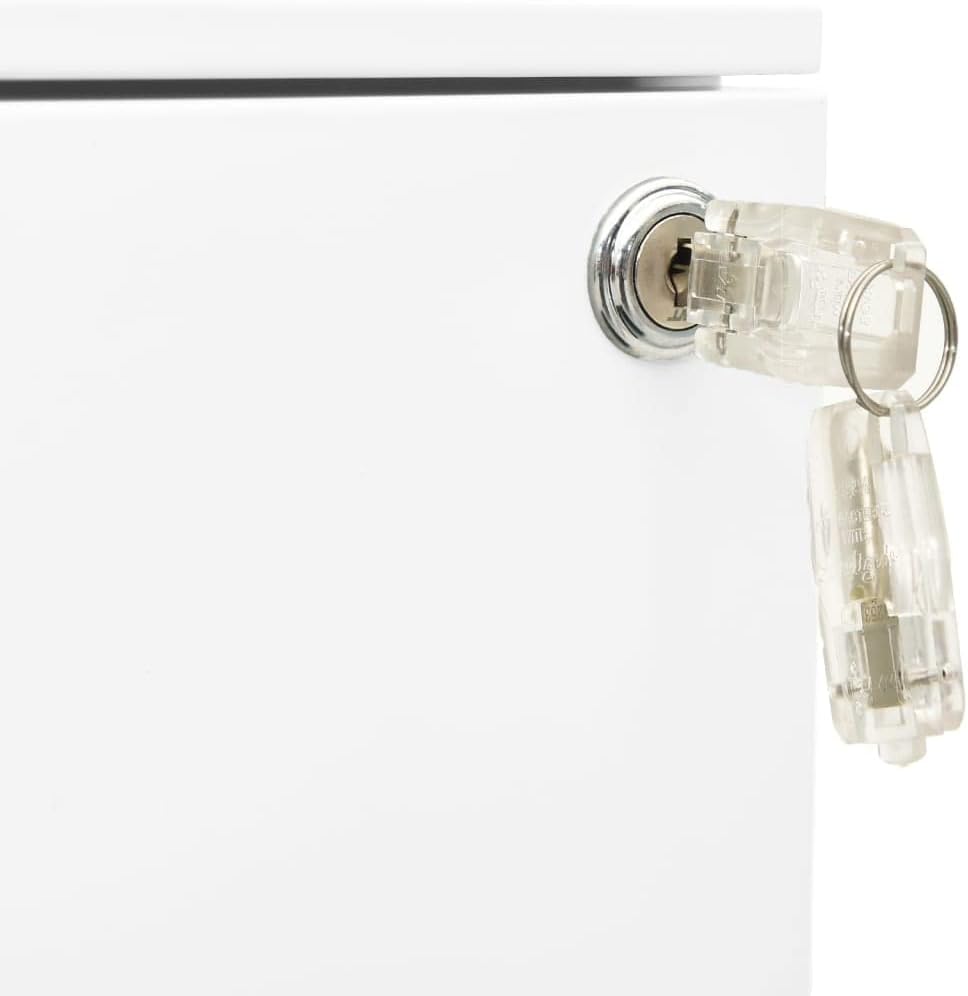 vidaXL File Cabinet Locks Filing Cabinet Rectangular Modern