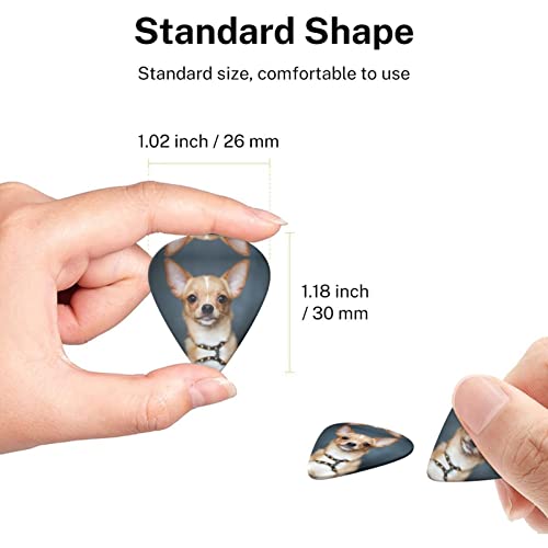 Ensemble de 6 médiators de guitare Chihuahua mignon pour guitare acoustique, guitare électrique, basse, ukulélé – fin… - Les Beatles, Paul McCartney, John Lennon, RIngo Starr, George Harrison Ensemble de 6 médiators de guitare Chihuahua mignon pour guitare acoustique, guitare électrique, basse, ukulélé - fin… – Image 7