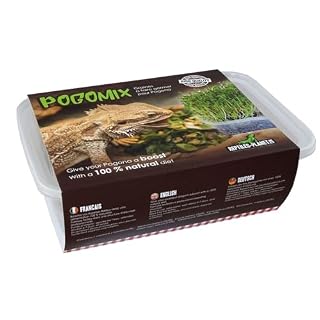 Reptiles Planet Pogomix, kit de graines à germer pour pogona