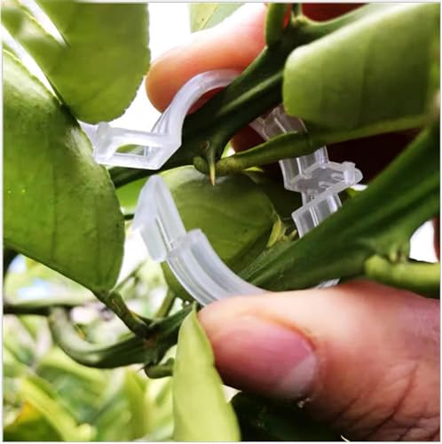 Image of Plant Support Clip | plant climbing wall clips | creeper wall holder | money plant clips for wall support | clips for plants support on wall (Pack of 50 Pcs, Plastic)