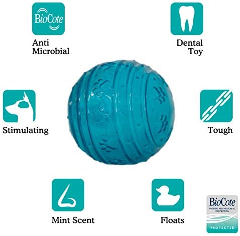 Rosewood BIOSAFE PUPPY BALL BLUE