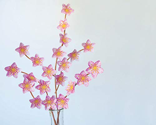 Punch Bunch Large Punch Chrry Blsm, Cherry Blossom 1.75"X1.75" #TOP4