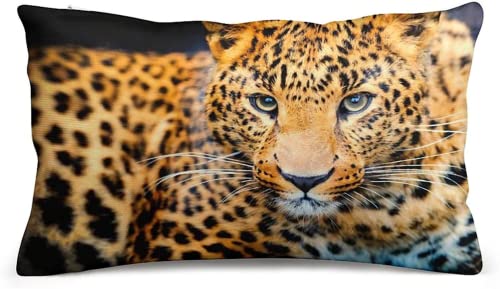 LEXAHO Housse de Coussin imprimé léopard Ensemble de Coussin de canapé Double Face Coussin de canapé Oreiller de Chambre Salon Tapisserie d'ameublement décorative (Leopard3,50x75cmx2) Cover