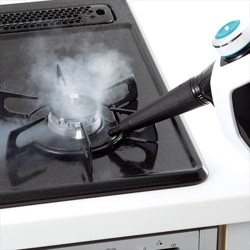 Amazon.co.jp : アースマン ハンディスチームクリーナー K20814518