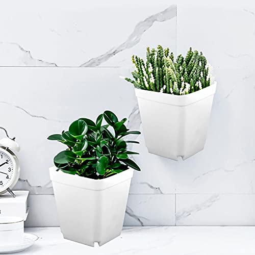 Hoigon 100 Pack 3 Inch White Square Nursery Pot, Durable Thickened Plastic Nursery Pots With Drain Holes, Small Square Planting Containers For Flower Tomatoes Basil #TOP6