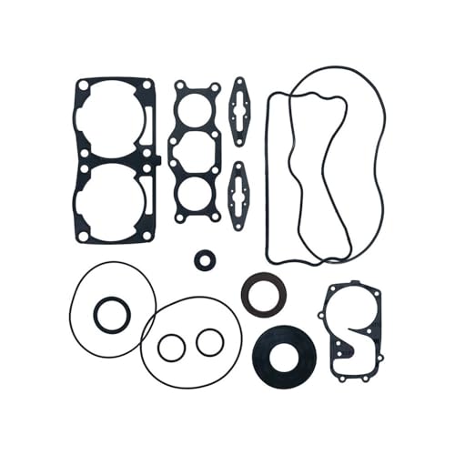 Kit de joints pour quads et SSV PL800 P 800 711310 pour réparation moteur