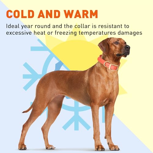 Image of Viper Biothane Heavy Duty Waterproof Dog Collar Strong Coated Nylon Webbing w /Solid Brass Hardware Odor-Proof Easy to Clean High Performance Fits Small Medium or Large Dogs, Coral