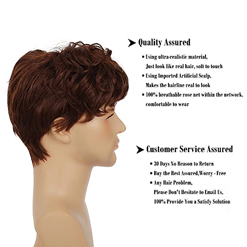 Baruisi Mens Brown Wig Short Curly Layered Cosplay Wig Synthetic Halloween Hair Wig With Wig Cap #TOP5