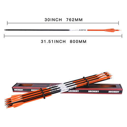 Lwano Carbon Arrow Archery 30Inch Hunting Target Practice Arrows For Compound & Recurve Bow Spine 500 With Removable Tips (Pack Of 12) #TOP5
