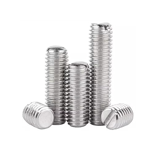 SYDARSYN Viti Senza Testa con Intaglio in Acciaio Inox Viti Grani Viti a Macchina M6x10mm (10 pz)