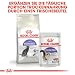 ROYAL CANIN STERILISED Trockennahrung für Katzen – 4 kg