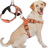 Dog Harness for Large Dogs Back D-Ring Control No Choking Pressure-Free Chest...