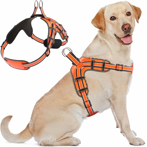 IWOOFI Dog Harness