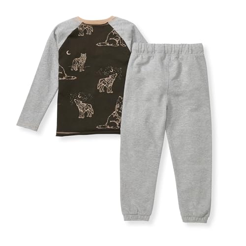 Burt's Bees Baby Boys Shirt and Pant Set, Long Sleeve Top & Bottom Outfit Bundle, 100% Organic Cotton, Desert Wolves Set, 24 Months