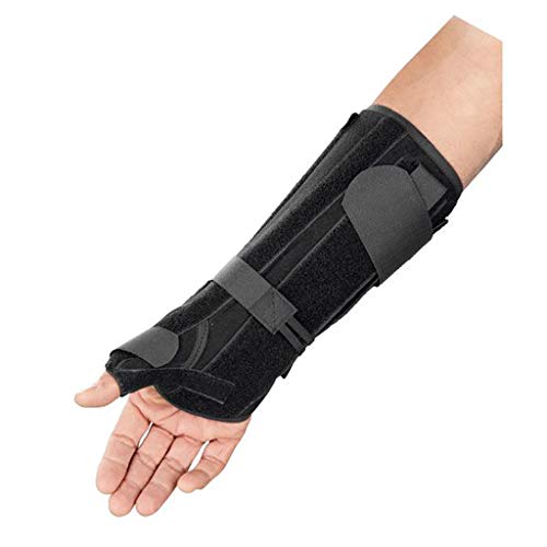 Breg Apollo ���u���[�X �e�w�X�s�J�t�� ����8�C���`�܂���10�C���` (�E���A����10�C���`)