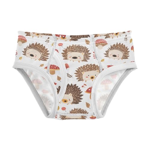 Cartoon Hedgehog and Mushroom Boys' Underwear 100% Cotton Boys' Briefs Soft Toddler Underwear
