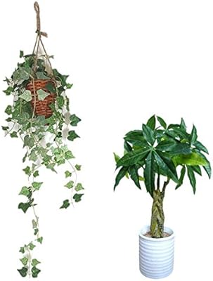 Amazon Co Jp 壁に掛けれる インテリアグリーン 光触媒 加工 アイビー 壁掛け ホーム キッチン