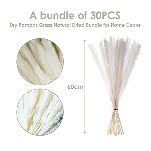 Jiuzcare 30 Pezzi Erba della Pampas 45cm Pampa