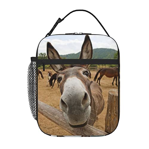 XSXXSC Funny Donkey Reusable Lunch Bag Lunch Box Kids,Kids Lunch Box For Girls Boys,Insulated Lunch Bag For Kid,Easy-To-Clean Bento Box Bento Bag,Loncheras Lunchbox For Work/School/Picnic by XSXXSC - Used condition - US$7.83