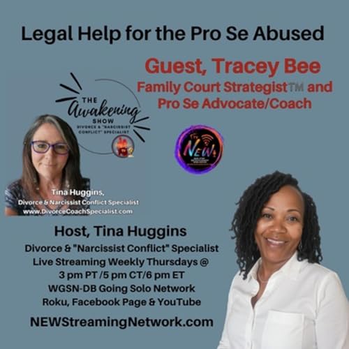Legal Help For The Pro Se Abused - Guest Tracey Bee