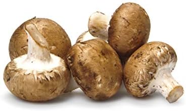 Mushroom Baby Bella Brown Organic