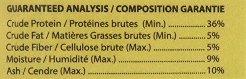 Northfin Goldfish #TOP3