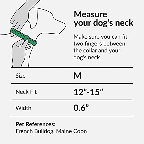Collardirect Rolled Leather Dog Collar, Soft Padded Round Puppy Collar, Handmade Genuine Leather Collar Dog Small Large Cat Collars 13 Colors (12-15 Inch, Purple Textured) #TOP3