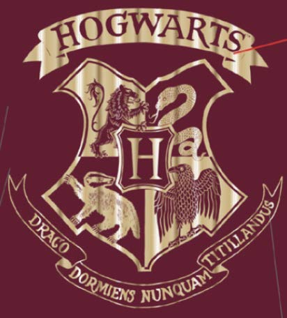 Harry Potter Hermione Hogwarts Gold Logo Crest Nightgown Sleepshirt Holiday Pajama4