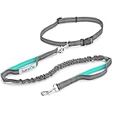 Tuff Mutt - Hands Free Dog Leash for Running, Walking, Hiking, Durable Dual-Handle Bungee Leash, Reflective Stitching, 4-Foot Long, Adjustable Waist Belt (Fits up to 42
