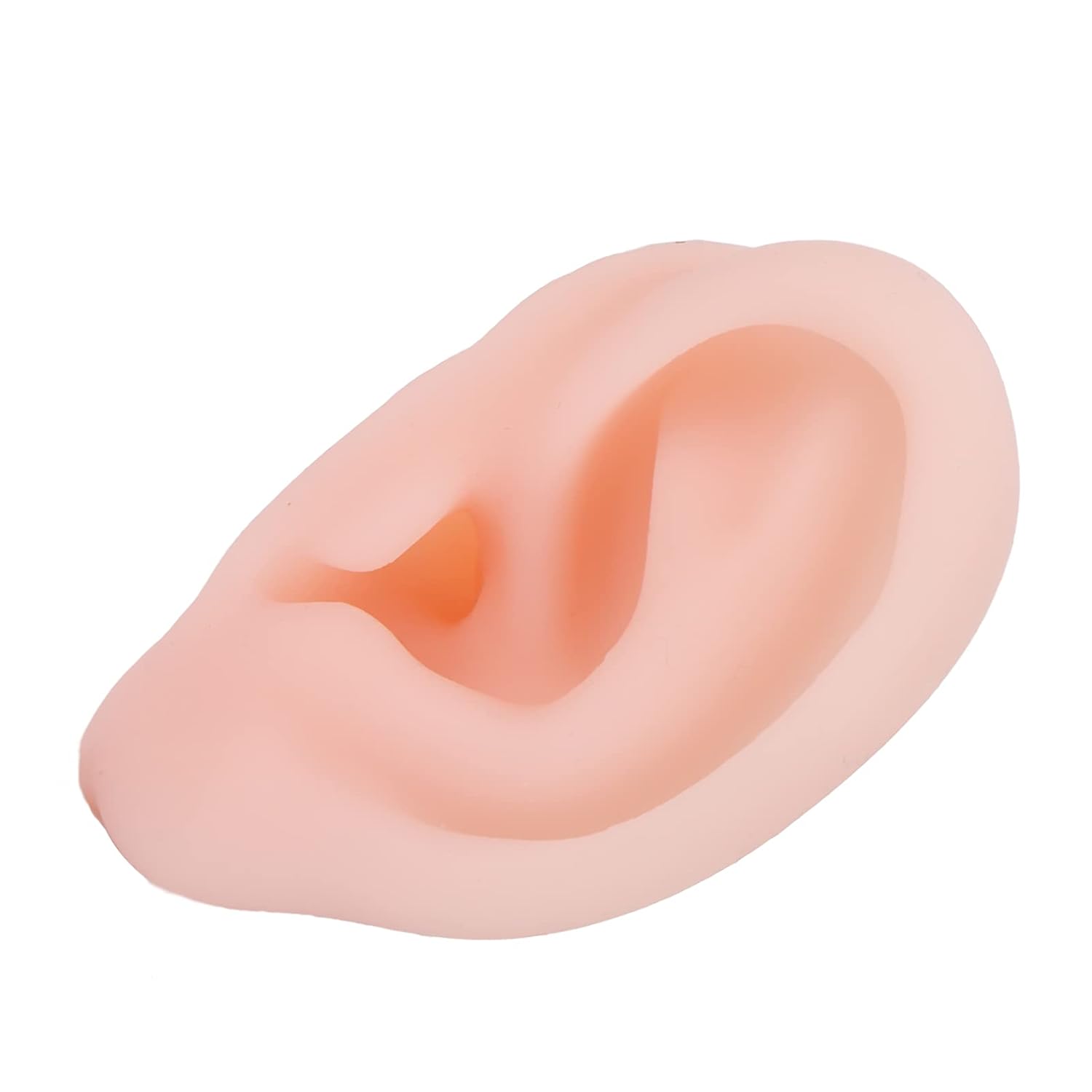 Ear Model, Silicone Perfect Accessory Wide Range of Application Display Ear Model Waterproof for School for Teaching for Hospital for Laboratory
