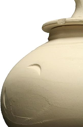 Miniatura 9 de Amaco 45015Y arcilla de modelado húmeda para cerámica, fuego bajo, multiuso, #25 color blanco