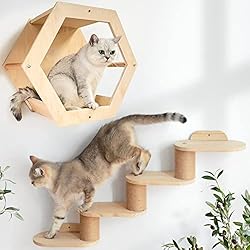 Cat Shelves Cat Wall Shelf and Cat Ladder of 4 Level, Cat Houses Condos for Activity Indoor Cats Furniture Wall Mounted Cat Wall Steps Set with Hexagon Nest Perches 2 PCS Set