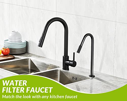 Sanliv Ro Drinking Water Faucet, Matte Black Reverse Osmosis Faucet Filtered Water Dispenser Faucet Cold Water Beverage Tap For Kitchen Sink, Stainless Steel Lead-Free #TOP1