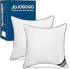 24x24 Indoor Pillow Inserts Set of 2 (Not Waterproof)
