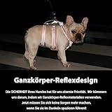 Huntboo Sicherheitsgeschirr Hund Ausbruchsicher, Panikgeschirr für Hunde, Reflektierendes Geschirr mit Gepolstertem Griff, Verstellbare Weste für Kleine Hunde, die Spazieren Gehen (Orange,S)