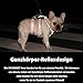 Huntboo Sicherheitsgeschirr Hund Ausbruchsicher, Panikgeschirr für Hunde, Reflektierendes Geschirr mit Gepolstertem Griff, Verstellbare Weste für Kleine Hunde, die Spazieren Gehen (Orange,S)