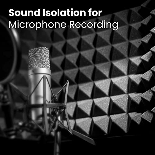 Professional Vocal Booth Isolation Shield
