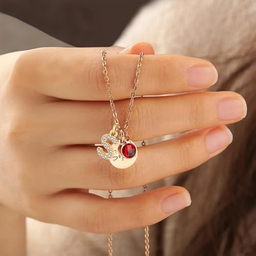 Customized Birthstone Necklace with Initial, Personalized Silver Name Plate Necklace for Women, Custom Pendant Jewelry Gifts for Christmas Birthday Thanksgiving Anniversary