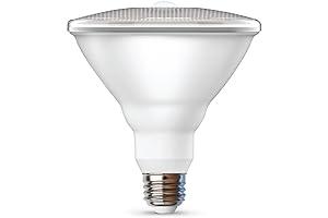 PAR38 Feit Motion Activated Light Bulbs 2-Pack
