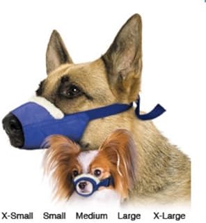 four flags over aspen muzzle