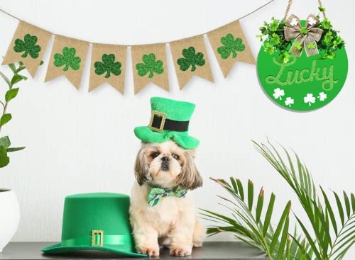 Davsolly St Patrick Day Lucky Sign St Patrick Day Wreath For Front Door Shamrock Hanging Sign For Irish Party St Patrick Decor #TOP4