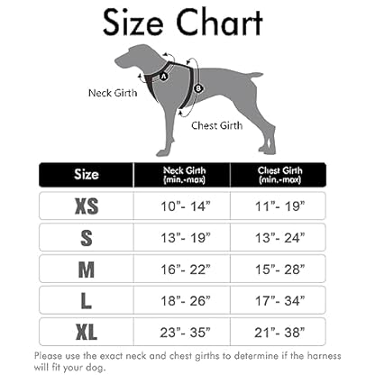 rabbitgoo Dog Harness, No-Pull Pet Harness with 2 Leash Clips, Adjustable Soft Padded Dog Vest, Reflective No-Choke Pet Oxford Vest with Easy Control Handle for Large Dogs, Black, L - Image 3