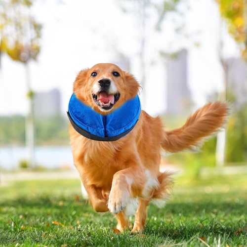Collar inflable para perros y gatos con cojín interior impermeable extraíble 4