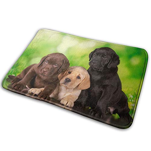 DADABULIU oX}bg փ}bg O  C}bg  uh[ Ő q L[g  ӂ}bg gC}bg }CNt@Co[ 唻  zD ~ K  40*60cm