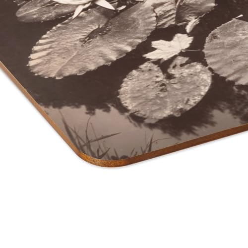 Napperon nénuphars en liège pour repas champêtre et décoration de table rétro